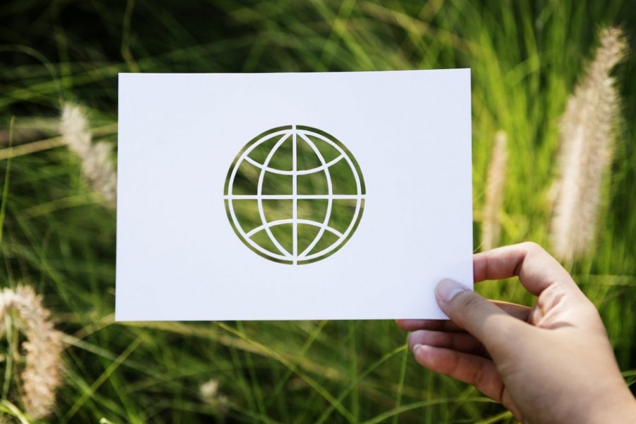 UAM awansuje w rankingu GreenMetric 2024, fot. www.freepik.com