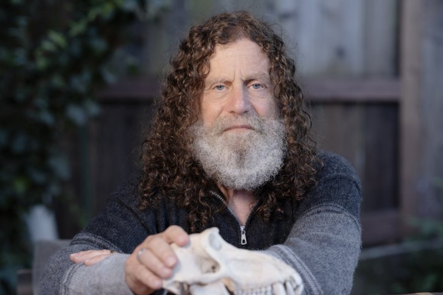 Fot. Christopher Michel, Wikipedia