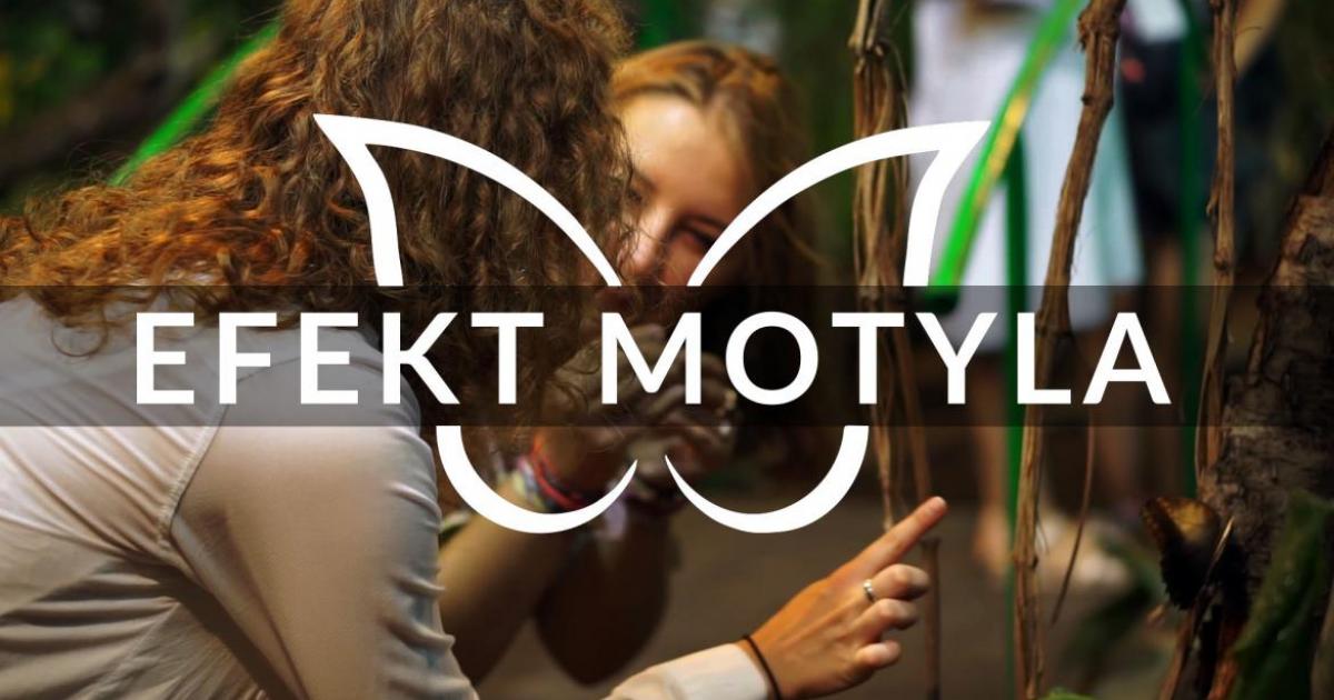 Uniwersytecki Efekt Motyla